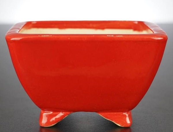 Bonsai Schale Koyo Tokoname Japan 12x12x7