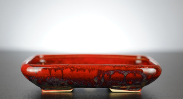 Bonsai Schale J-B Edition 17x14x3,5