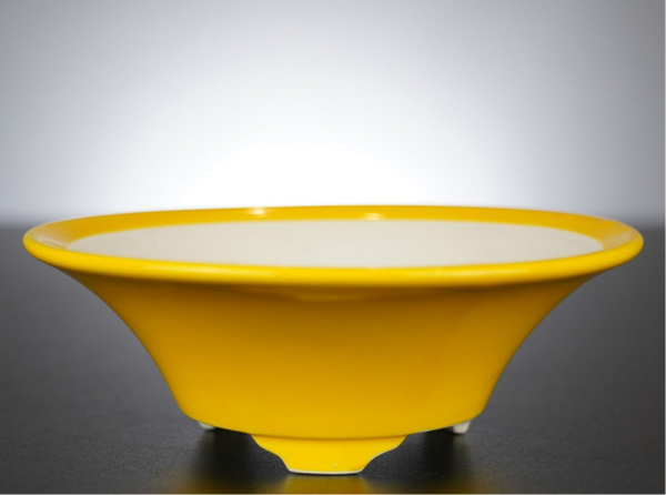 Bonsai Schale Xingyu Wangfei Yixing China 16x16x6