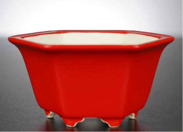 Bonsai Schale Xingyu Wangfei Yixing China 11x11x6