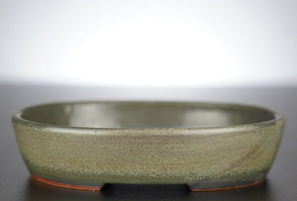 Bonsai Schale J-B Edition 17x14x4