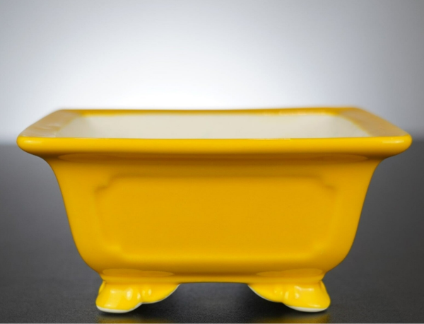 Bonsai Schale Xingyu Wangfei Yixing China 13,5x13,5x6,5