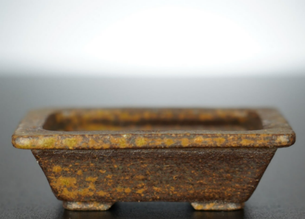 Bonsai Schale Arima Matsuun Tokoname Japan 11x8,5x3,5