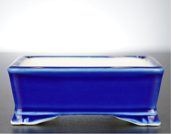 Bonsai Schale Xingyu Wangfei Yixing China 10x8x4