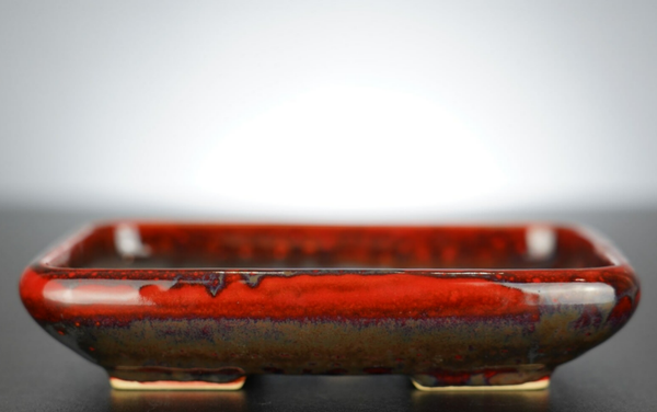 Bonsai Schale J-B Edition 17x14x3,5