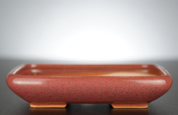 Bonsai Schale J-B Edition 17x14x3,5