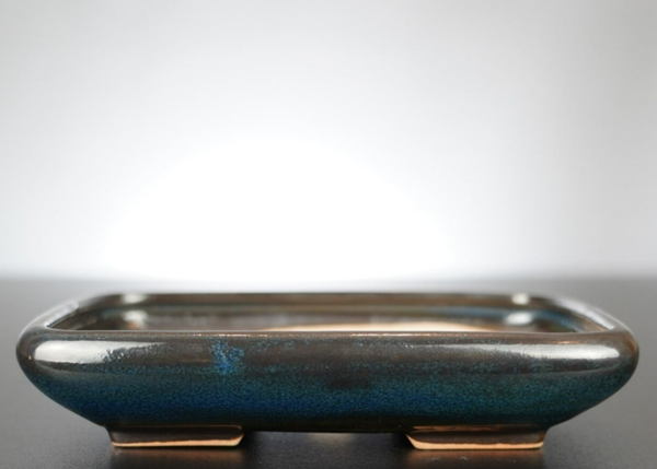 Bonsai Schale J-B Edition 17x13,5x3,5