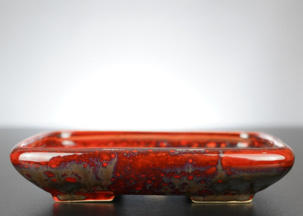 Bonsai Schale J-B Edition 17x14x3,5