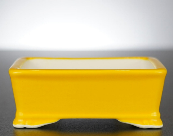 Bonsai Schale Xingyu Wangfei Yixing China 10,5x8x4