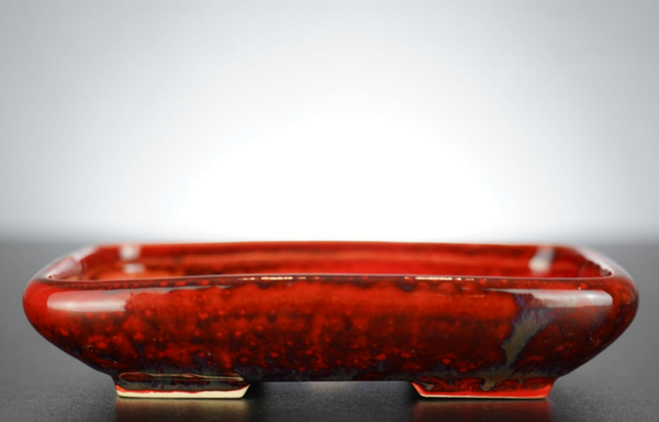 Bonsai Schale J-B Edition 17x14x3,5