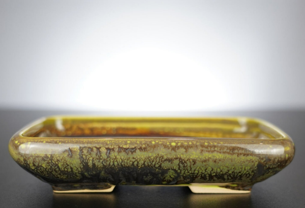 Bonsai Schale J-B Edition 17x14x3,5