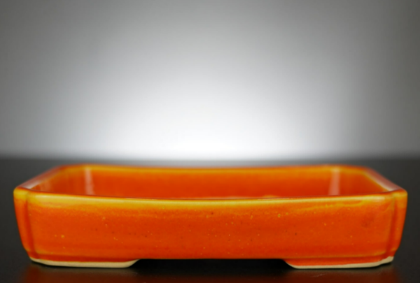 Bonsai Schale J-B Edition 19x14x3,5