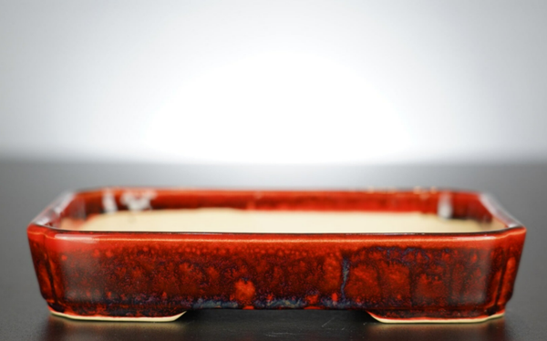 Bonsai Schale J-B Edition 18,5x13,5x3,5