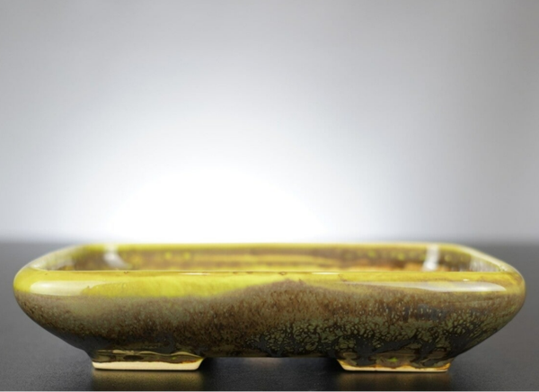 Bonsai Schale J-B Edition 17x14x3,5