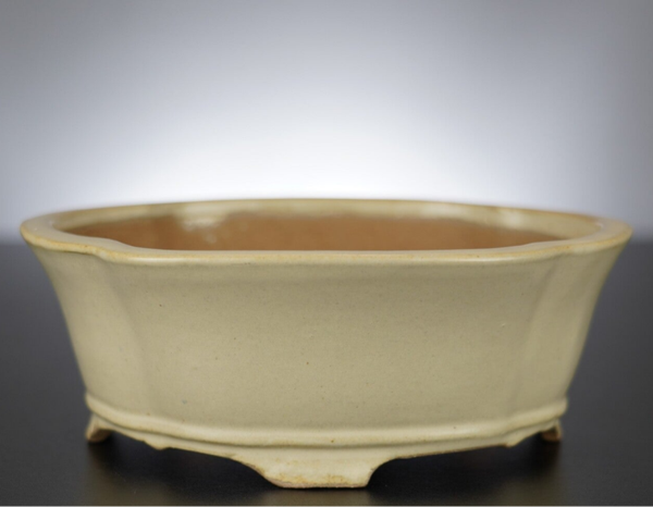 Bonsai Schale Shibakatsu Tokoname 18,5x16,5x6,5