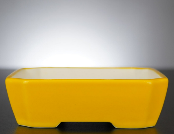 Bonsai Schale Xingyu Wangfei Yixing China 16,5x13,5x5