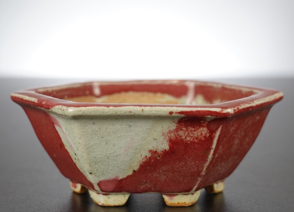 Bonsai Schale Koyo Tokoname Japan 12,5x12,5x5,5