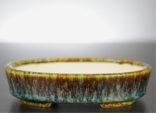 Bonsai Schale Koyo Tokoname Japan 14x11,5x3