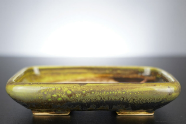 Bonsai Schale J-B Edition 17x14x3,5