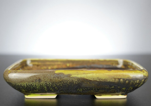 Bonsai Schale J-B Edition 17x14x3,5