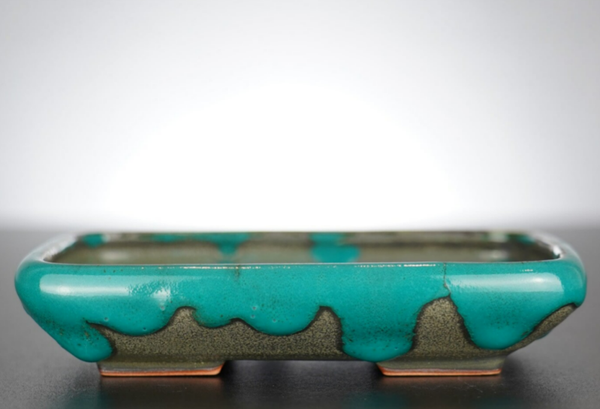 Bonsai Schale J-B Edition 17x14x3,5