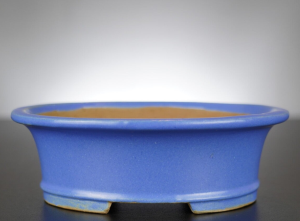 Bonsai Schale Shibakatsu Tokoname 18,5x16x6