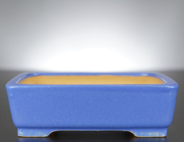 Bonsai Schale Shibakatsu Tokoname 16x12x5