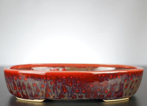 Bonsai Schale J-B Edition 22x17x4,5