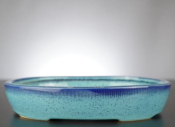 Bonsai Schale J-B Edition 22,5x17x4