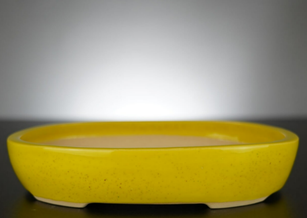 Bonsai Schale J-B Edition 22x17x4,5