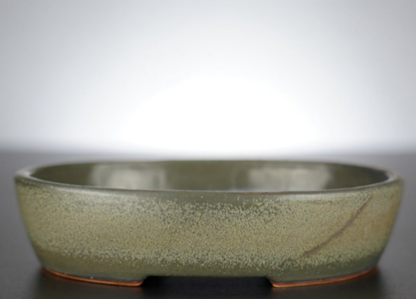 Bonsai Schale J-B Edition 17x14x4