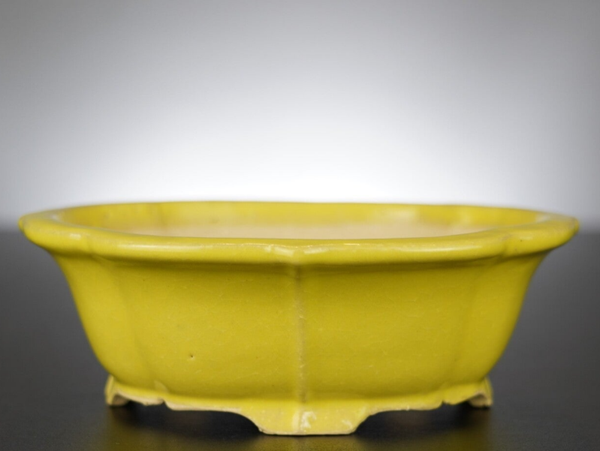 Bonsai Schale Shibakatsu Tokoname 17x15x5,5