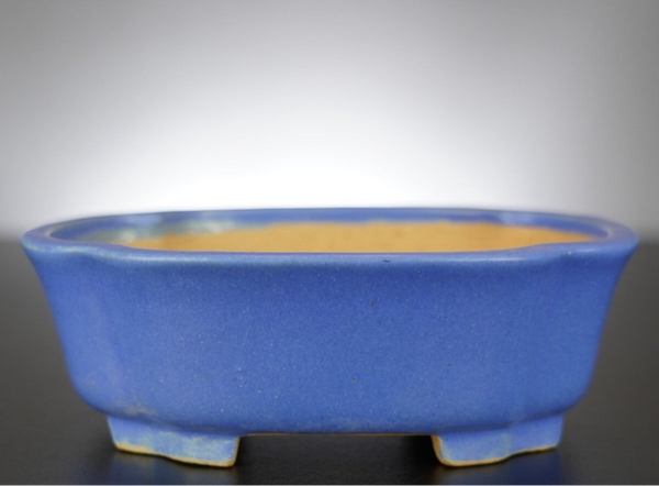 Bonsai Schale Shibakatsu Tokoname 18,5x16,5x6