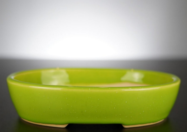 Bonsai Schale J-B Edition 18x14,5x4