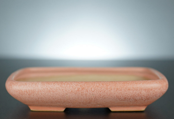 Bonsai Schale J-B Edition 17x14x3,5