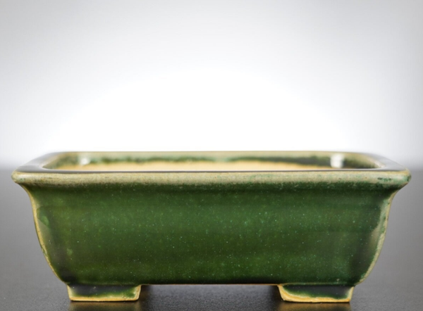 Bonsai Schale Shibakatsu Tokoname 15,5x12x5,5