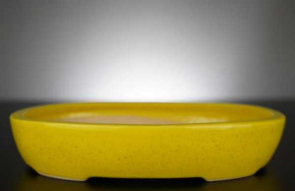 Bonsai Schale J-B Edition 22,5x17x4,5