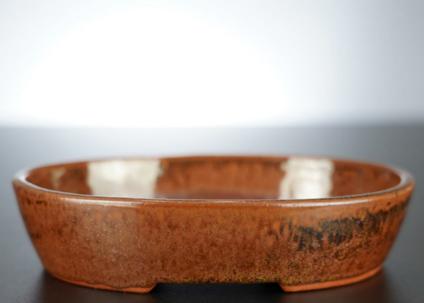 Bonsai Schale J-B Edition 17x14x4