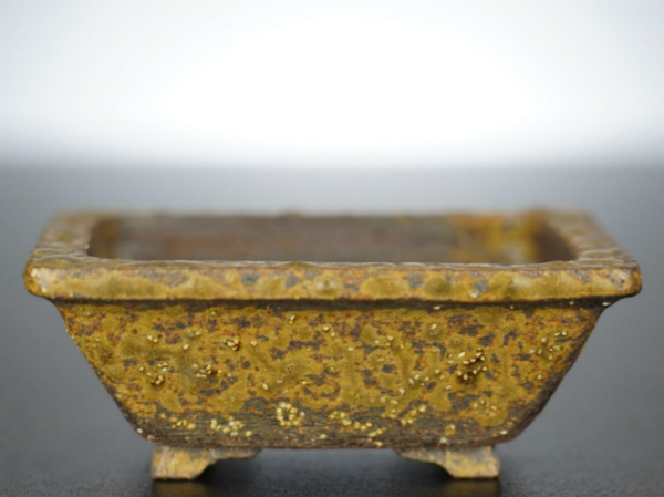 Bonsai Schale Arima Matsuun Tokoname Japan 10x9x4