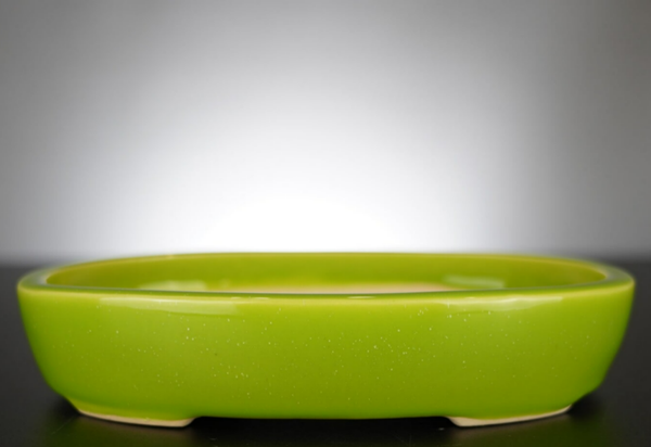 Bonsai Schale J-B Edition 22x17x4,5