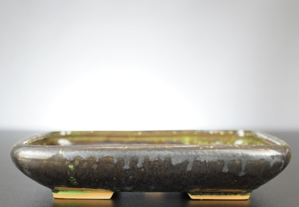 Bonsai Schale J-B Edition 17x13,5x3,5