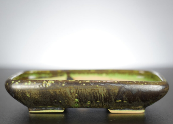 Bonsai Schale J-B Edition 17x14x3,5