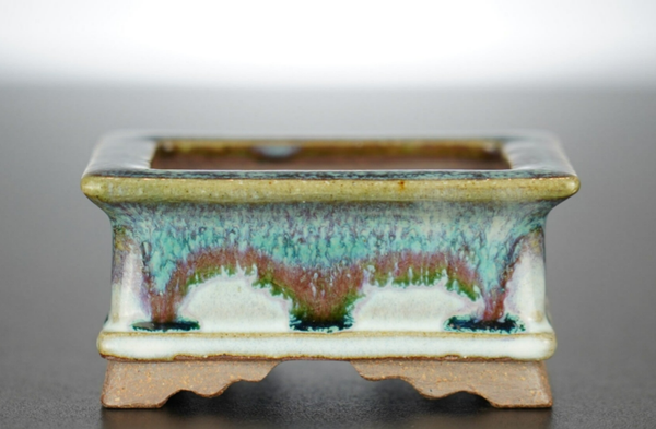 Bonsai Schale Arima Matsuun Tokoname Japan 8,5x6,5x4