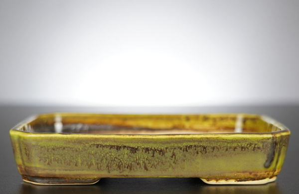 Bonsai Schale J-B Edition 19x14,5x3,5