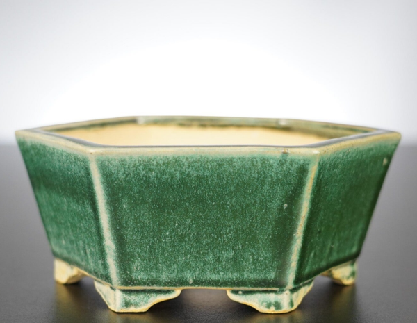 Bonsai Schale Shibakatsu Tokoname 15x15x7