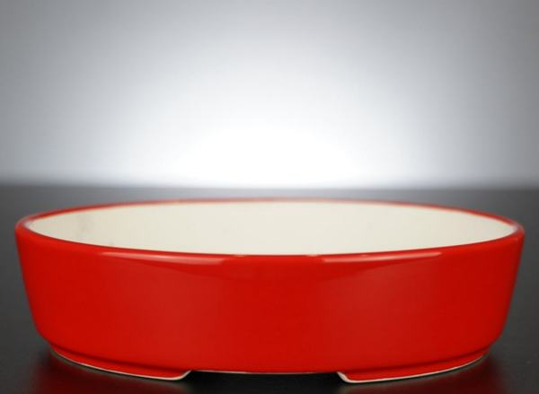 Bonsai Schale Xingyu Wangfei Yixing China 18x15x4,5