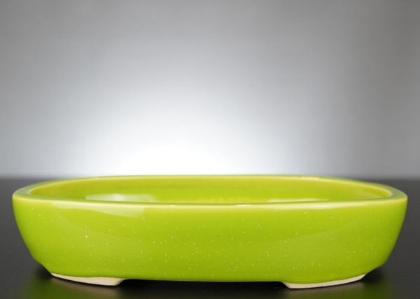 Bonsai Schale J-B Edition 22,5x17x4,5