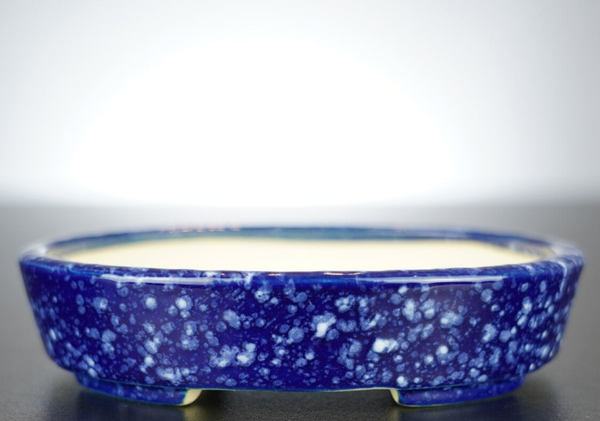 Bonsai Schale Koyo Tokoname Japan 14x11,5x3