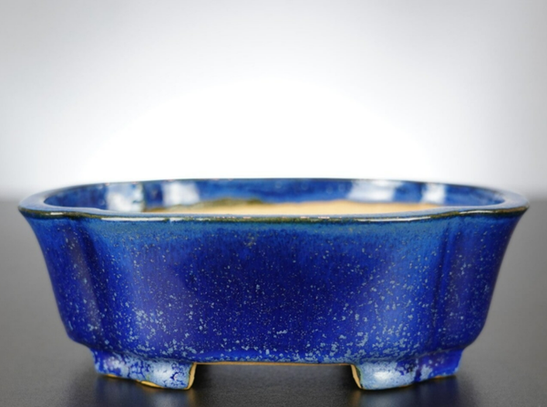 Bonsai Schale Shibakatsu Tokoname 19x16x6,5