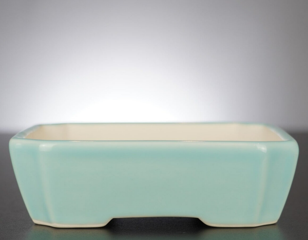 Bonsai Schale Xingyu Wangfei Yixing China 16,5x13,5x5